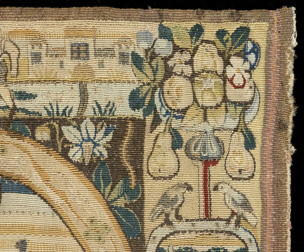 Detail detail depicting  fruits and flowers